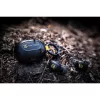 Tactical Bug StrikePods TWS Headset fekete