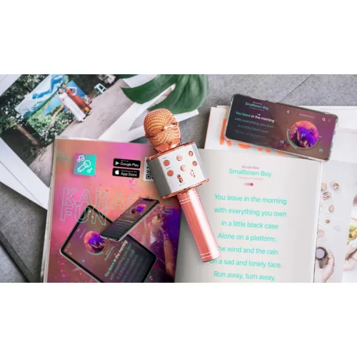 Forever BMS-300 Lite Bluetooth mikrofon hangszóróval rózsaszín