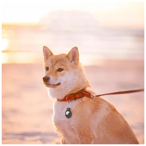 TECH-PROTECT ROUGH VEIN AirTag tok 2-PACK APPLE AIRTAG készülékhez 1/2 fekete