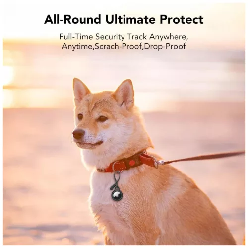 TECH-PROTECT ROUGH CHAIN 2-PACK APPLE AIRTAG 1 / 2 készülékhez fekete