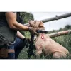 Tactical AirTag készülékhez Beam Leather tok fekete